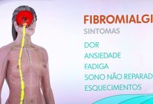 Fibromialgia: Como a Massagem Pode Reduzir Dores e Transformar a Qualidade de Vida – Guia Completo para Brasil e EUA