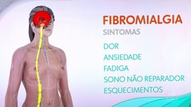 Nova Lei da Fibromialgia em 2026: Benefícios Atualizados e Direitos Garantidos aos Pacientes 2 Fibromialgia: Como a Massagem Pode Reduzir Dores e Transformar a Qualidade de Vida – Guia Completo para Brasil e EUA
