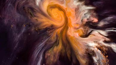 Eu sei que dói dizer adeus, mas é hora de eu voar 6 10