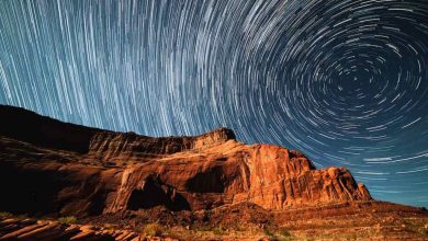Fazendo frutas e vegetais para as crianças divertidas 3 8